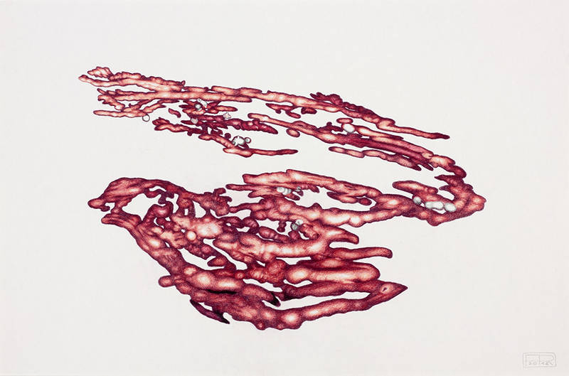 Franziska Rutishauser, dessin: Aggregation 3, 2015, crayon couleurs, 40x60cm