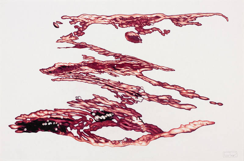 Franziska Rutishauser, Zeichnung: Aggregation 1, 2015, Farbstift, 40x60cm