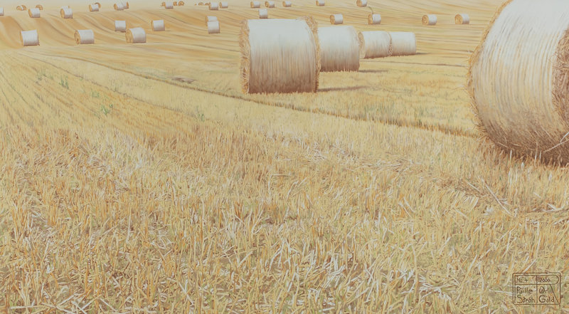 Franziska Rutishauser, painting: Straw & Gold (Stroh & Gold) No 4, 2006, oil on canvas, 105x190cm